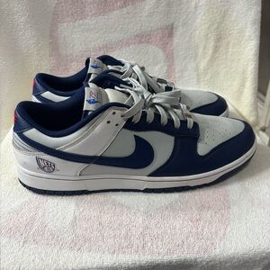Nike Dunk Low EMB NBA 75th Anniversary Brooklyn Nets Mens Sz 14